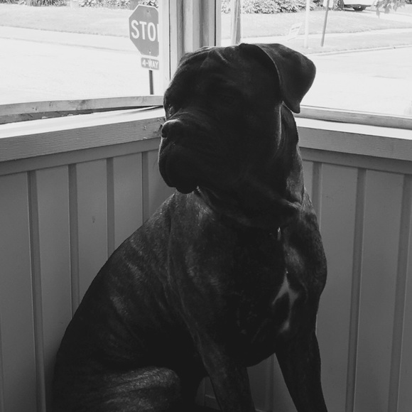 Meet your Posher, Rena - Picture 1 of 1